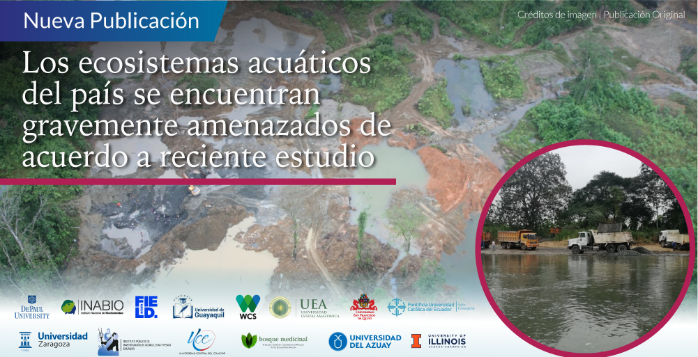 Amenazas a la conservación y perspectivas futuras para los peces de agua dulce de Ecuador: un punto clave de diversidad de peces neotropicales (INABIO)