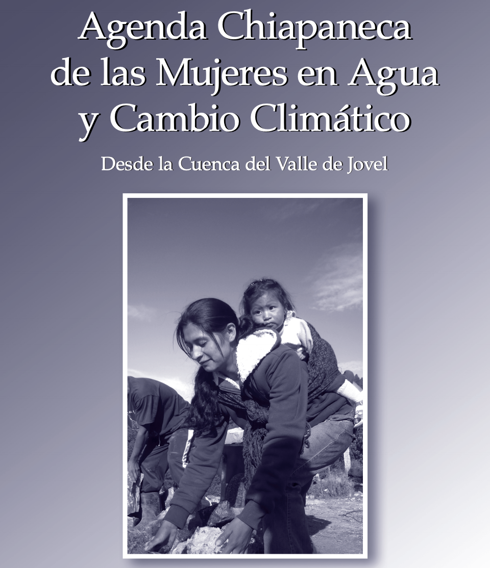 Agenda Chiapaneca de las Mujeres en Agua y Cambio Climático (Agua y Vida: Mujeres, Derechos y Ambiente)