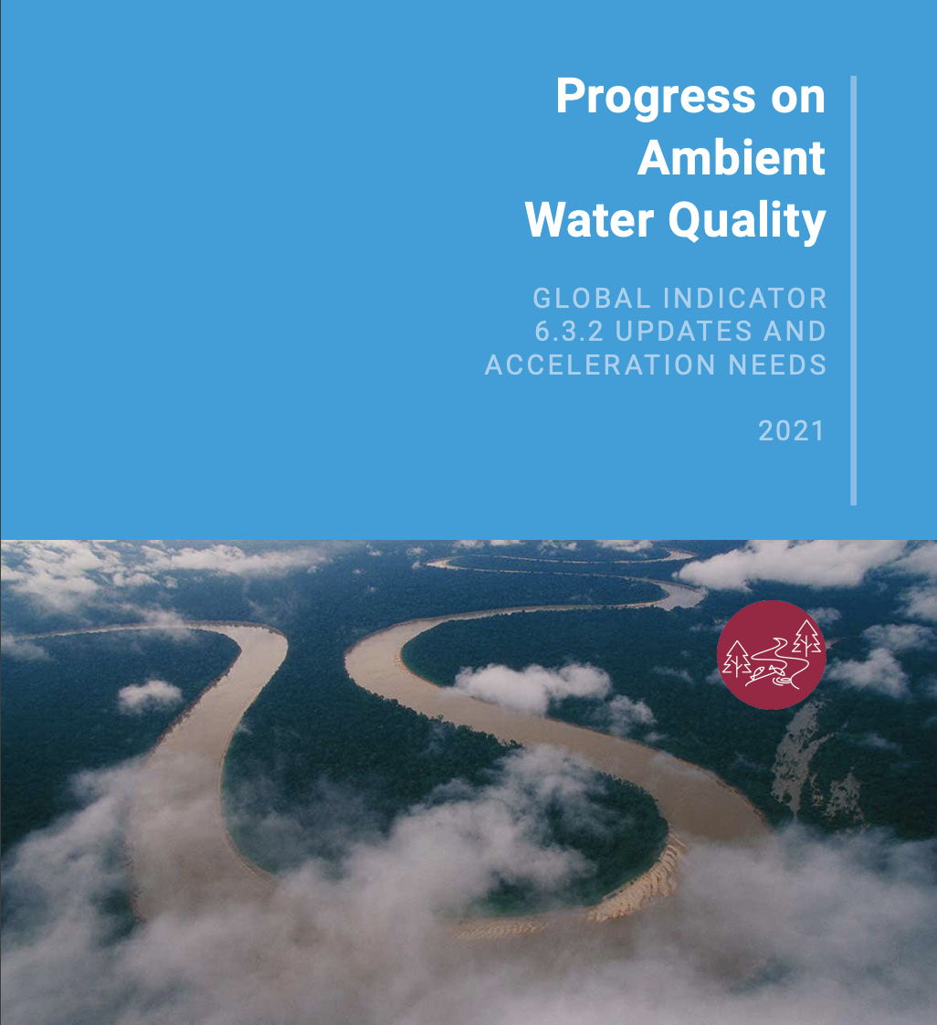 Progreso en Ambiente Calidad del Agua (ONU)