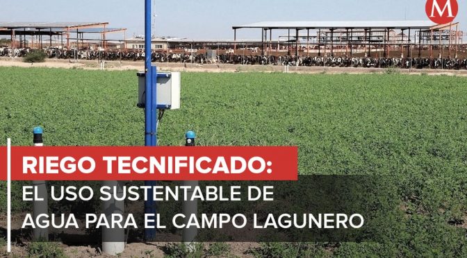 México – Riego tecnificado: el uso sustentable de agua para el campo lagunero (Milenio)