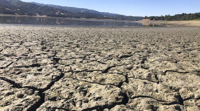California “Por favor, conserve el agua”: Pueblo de California pide a turistas tras grave sequía (Milenio)