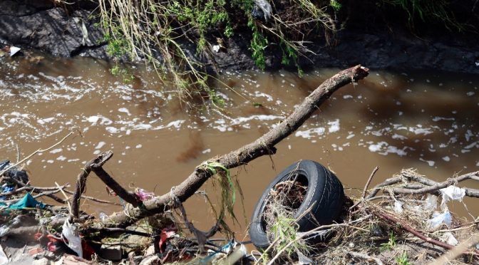 México-Un paso firme hacia la protección de los ríos en México (Aristegui Noticias)