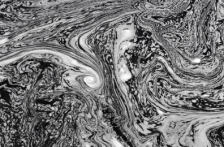 Morelos – Activistas exigen aplicar sanciones contra quienes contaminan el agua (Noticias de Cuautla)