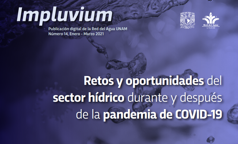 Retos y oportunidades del sector hídrico durante y después de la pandemia de COVID-19 (Red del Agua UNAM)