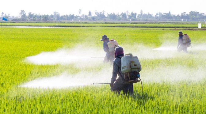 México – Agroindustria ha interpuesto 26 amparos para seguir importando glifosato: Viridiana Lázaro | Entérate (Aristegui Noticias)