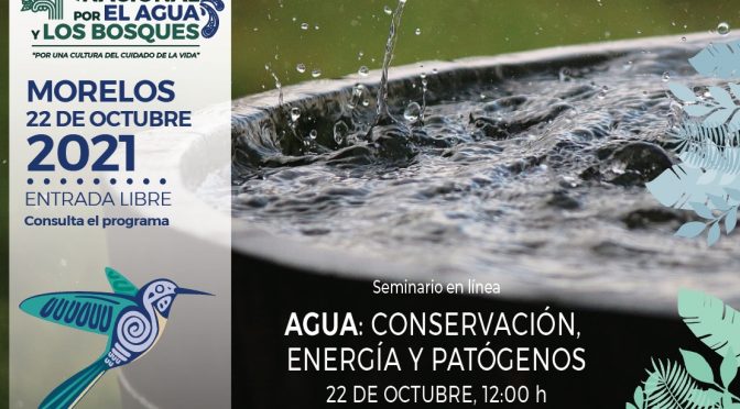 Seminario en línea – Agua: Conservación, energía y patógenos (Festival Nacional por el Agua y los Bosques)
