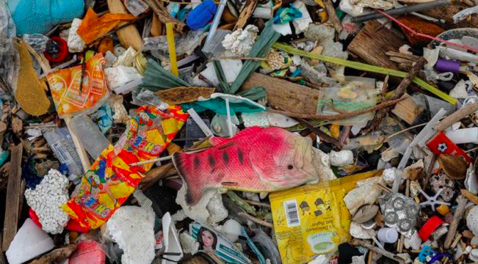 Francia – Masiva contaminación de plásticos en río Sena alerta a las autoridades en París (Milenio)