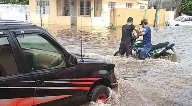 México-Alerta Greenpeace México de inundaciones y sequías más intensas para la CDMX (Excelsior)
