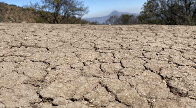 México-Agua en México: Con nubes de lluvia, Nuevo León y Tamaulipas buscan afrontar sequía (Informador)