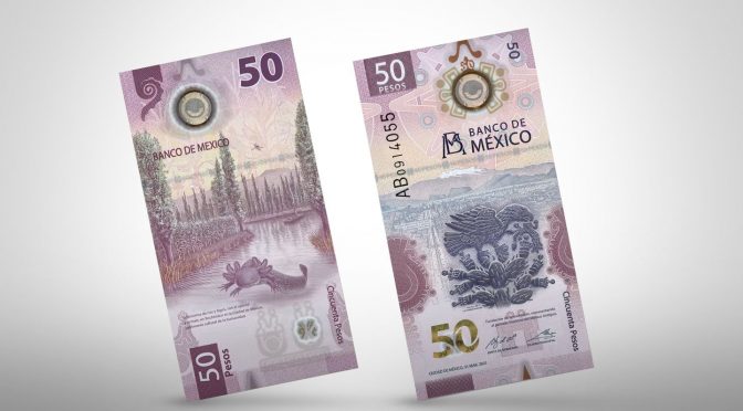 México – El Emblemático Ajolote de Xochimilco es la Imagen del Nuevo Billete de 50 Pesos: Estos son sus Elementos (Infobae)