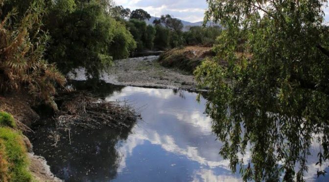 Guanajuato- Cuidan 20 Áreas Naturales Protegidas con plan de Seguridad Hídrica en Guanajuato (Milenio)