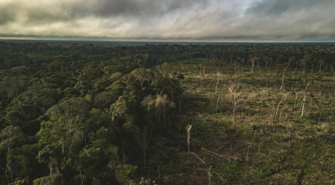 Mundo – Amazonia colombiana vive una crisis ambiental creciente (WWF)
