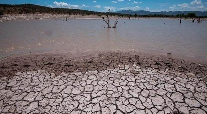 Mundo – NASA lanza herramienta que mide pérdida de agua (Pulso)