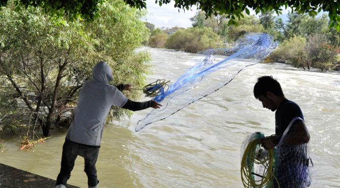 Guanajuato-Aprovechan desfogue de Laguna de Yuriria para sacar su sustento diario (Periódico Correo)