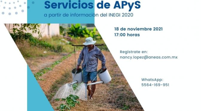 Webinar Análisis de la situación de los servicios de APyS (ANEAS)