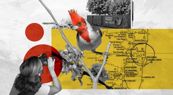 Mundo – Un grupo de vecinos creó una reserva natural en una ciudad golpeada por una inundación (Infobae)