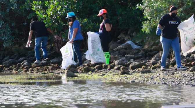 México – Recolectan 600 kilos de basura tirada en manglares de Yucatán (Milenio)