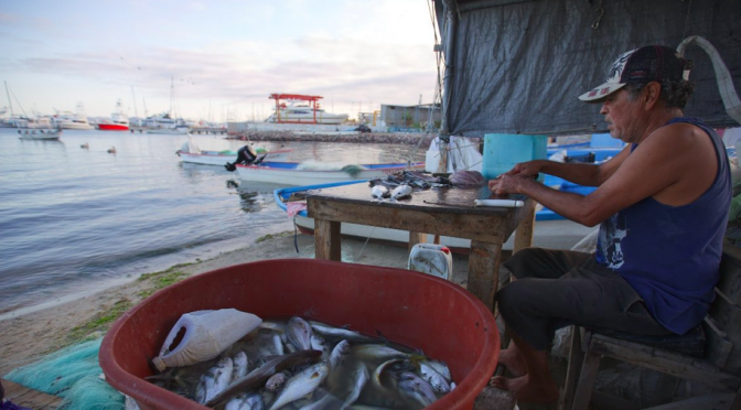 Mundo – Especialistas solicitan acciones inmediatas frente a cambio climático (Milenio)