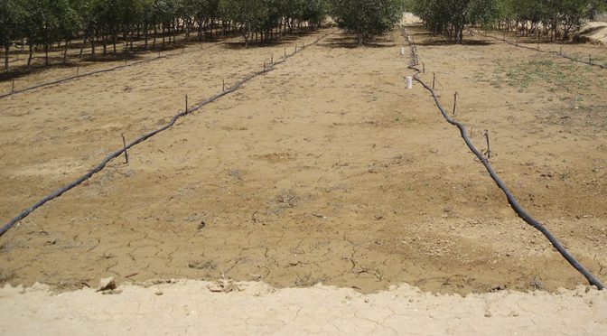 Mundo – Una nueva metodología para predecir y comprender el comportamiento del agua en el suelo (Retema)