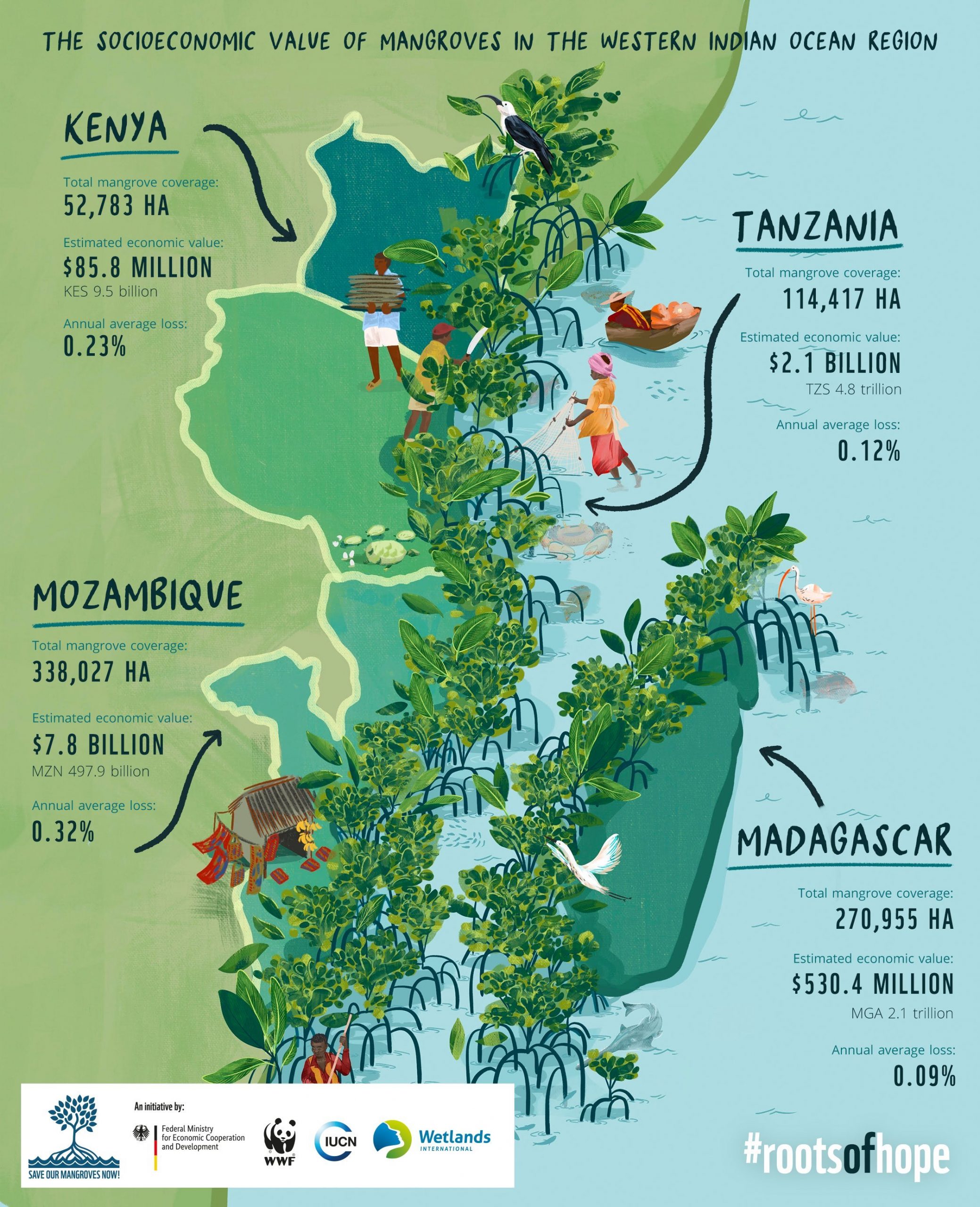 Raíces de Esperanza: El valor socioeconómico de manglares en la región oeste del Océano Índico (IPBES)