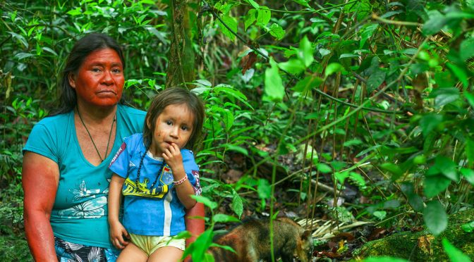 Mundo-COP26: Pueblos indígenas, manifestaciones y un llamamiento para acabar la guerra contra la naturaleza (Noticias ONU)