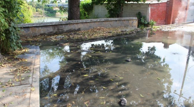 Veracruz-Agua negras de drenajes desembocan en el rio Pánuco reportan vecinos (Milenio)