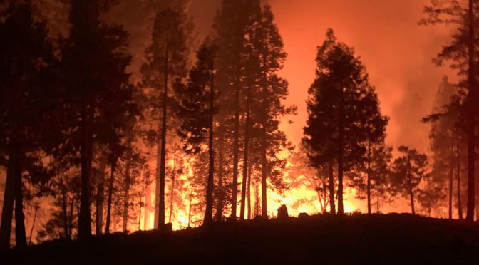 Mundo – Los últimos siete años, los más cálidos de la historia (Noticias ONU)