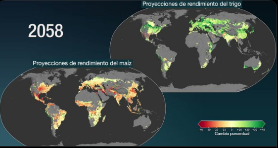Mundo-Un estudio de la NASA predice impactos del cambio climático global en los cultivos en 10 años(UNAM global)