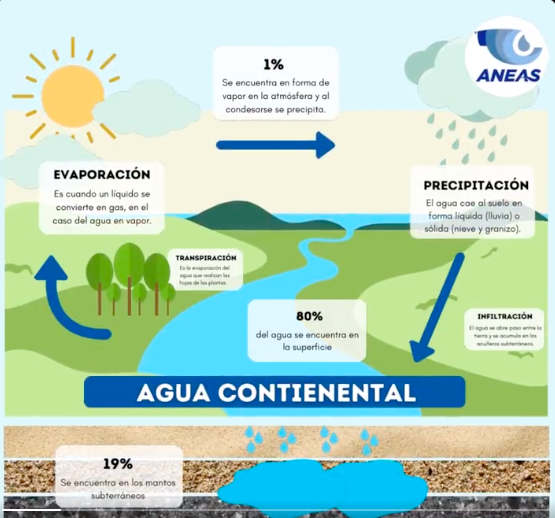 ¿Sabes cómo se distribuye el Agua Continental de nuestro planeta? (Video)- ANEAS de México