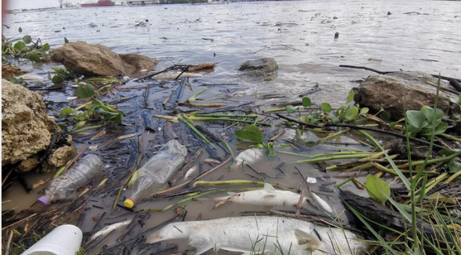 México-Denuncian grave contaminación en el río Pánuco: hay afectaciones en la colonia California (El Sol de Tampico)