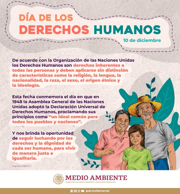 Día de los Derechos Humanos (Infografía)- SEMARNAT
