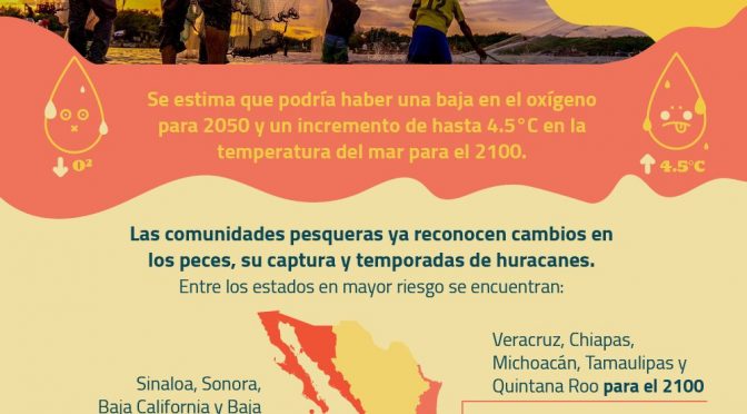 México-Alcanzan efectos del cambio climático a pescadores mexicanos: EDF (Causa Natura)