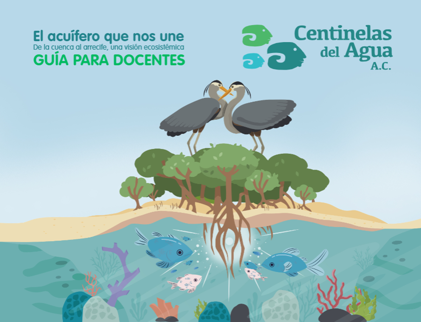 Guía para docentes: El acuífero que nos une. De la cuenca al arrecife, una visión ecosistémica-Centinelas del Agua A.C.