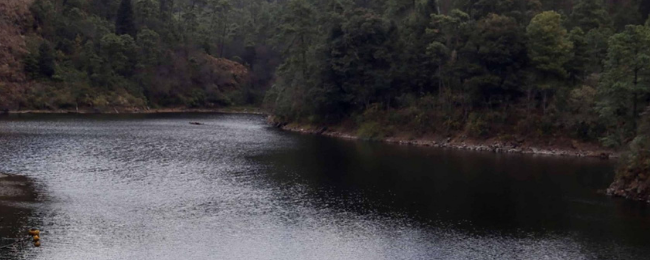 Edo. Mex.-Conagua reporta recuperación del 0.9% en presa Valle de Bravo tras cierre de extracciones (Milenio)