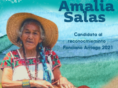 México- Postulación de la abuelita Amalia al Reconocimiento en DHH «Ponciano Arriaga Lejía 2021» (Agua para Todos)