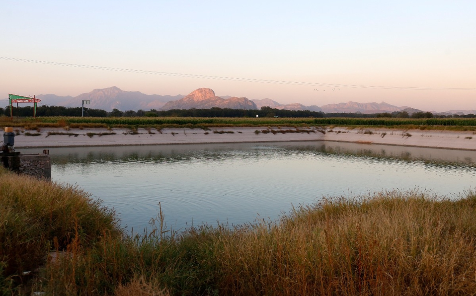Durango-Realizan el primer foro del proyecto Agua Saludable para La Laguna (Milenio)