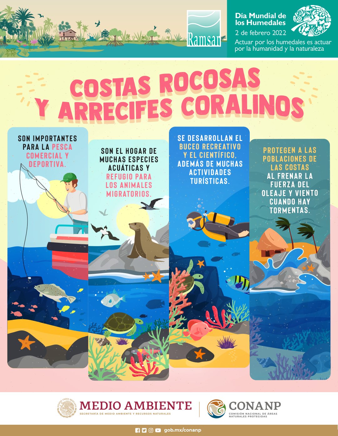 Costas Rocosas y Arrecifes Coralinos (Infografía) – CONANP