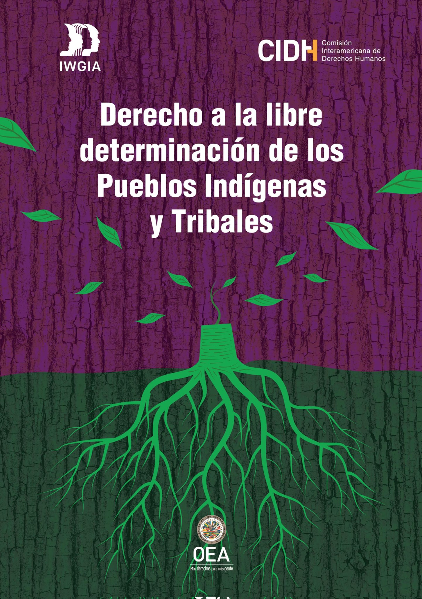 Derecho a la libre determinación de los Pueblos Indígenas y Trivales (Libro)-CIDH