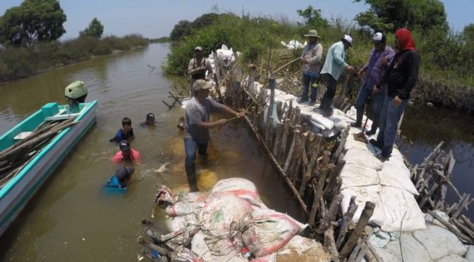 Tamaulipas-IP presionará a Conagua para reparar El Camalote: temen agua salada (El Sol de Tampico)