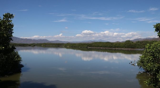 Colima-Gobierno de Colima y Semarnat rehabilitarán lagunas de Cuyutlán y Valle de las Garzas (Milenio)