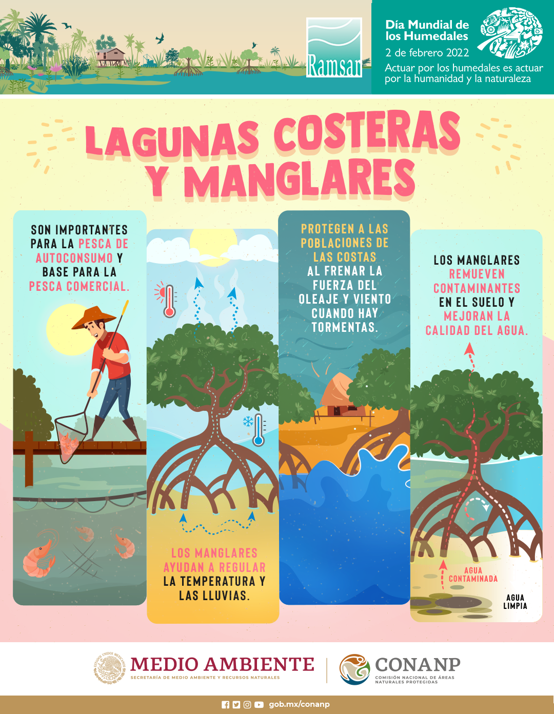 Lagunas Costeras y Manglares (Infografía)- CONANP