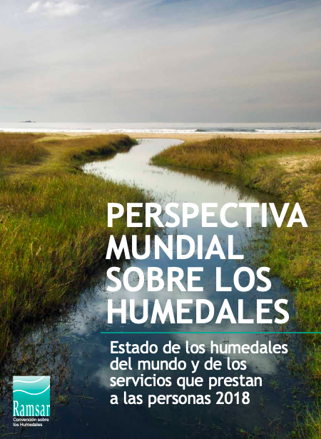 Perspectiva Mundial Sobre los Humedales (Informe)- Ramsar