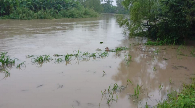 Tabasco-Incrementan ríos de Tabasco; se prevé que continúen las lluvias (El Heraldo de Tabasco)