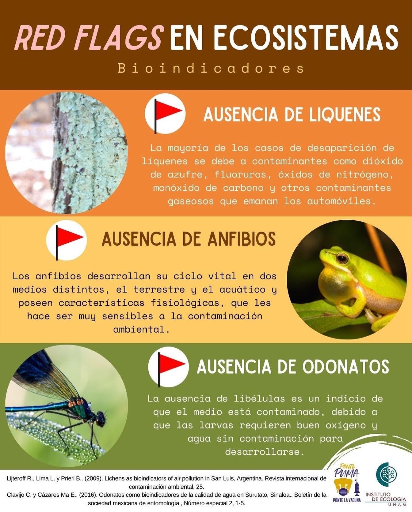 Red Flags en ecosistemas (Infografía)- Instituto de Ecología, UNAM
