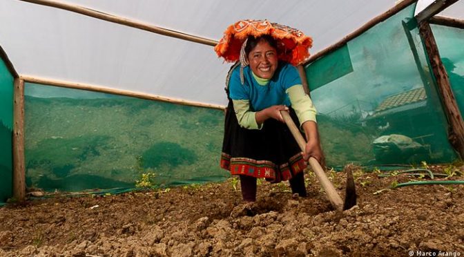 Perú – Campesinas peruanas emplean técnicas milenarias para “cosechar” agua (DW)