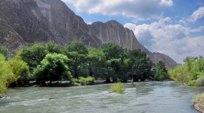 Durango – Gobierno de Durango destaca importancia de humedales en la región (El Siglo de Torreón)