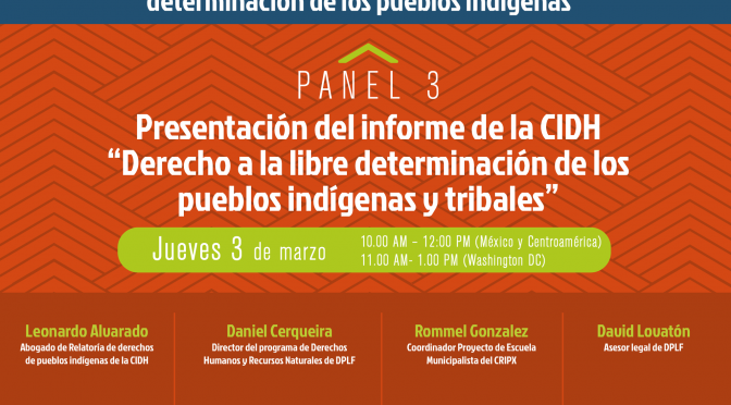 Seminario Presentación del informe de la CIDH “Derecho a la libre determinación de los pueblos indígenas y tribales” – DPLF