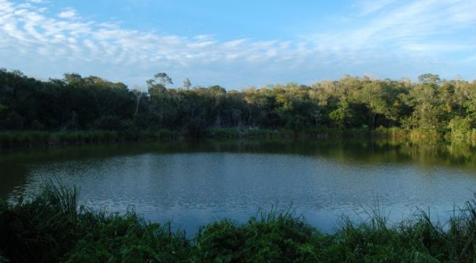 Yucatán-Como entidades vivas, cenotes deben ser protegidos, indica Samantha Collí (La Jornada Maya)