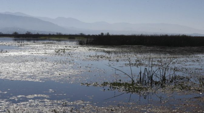 Estado de México – Llaman a no devastar humedales de Lerma (El Universal)