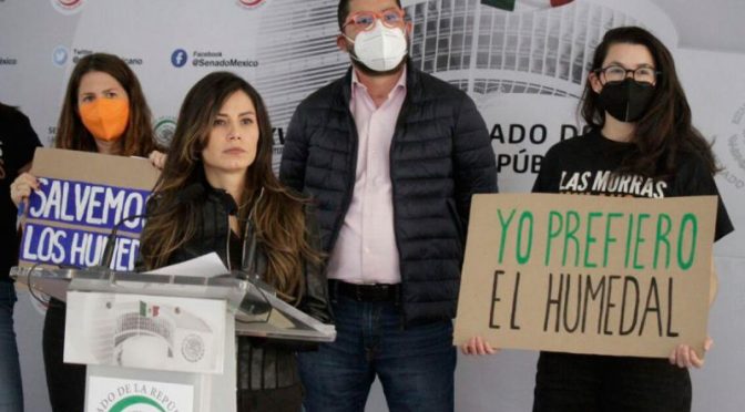 México – Impulsan iniciativa en el Senado para proteger los humedales mexicanos (Excelsior)
